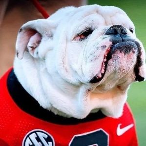 Meet your Posher, Terry l